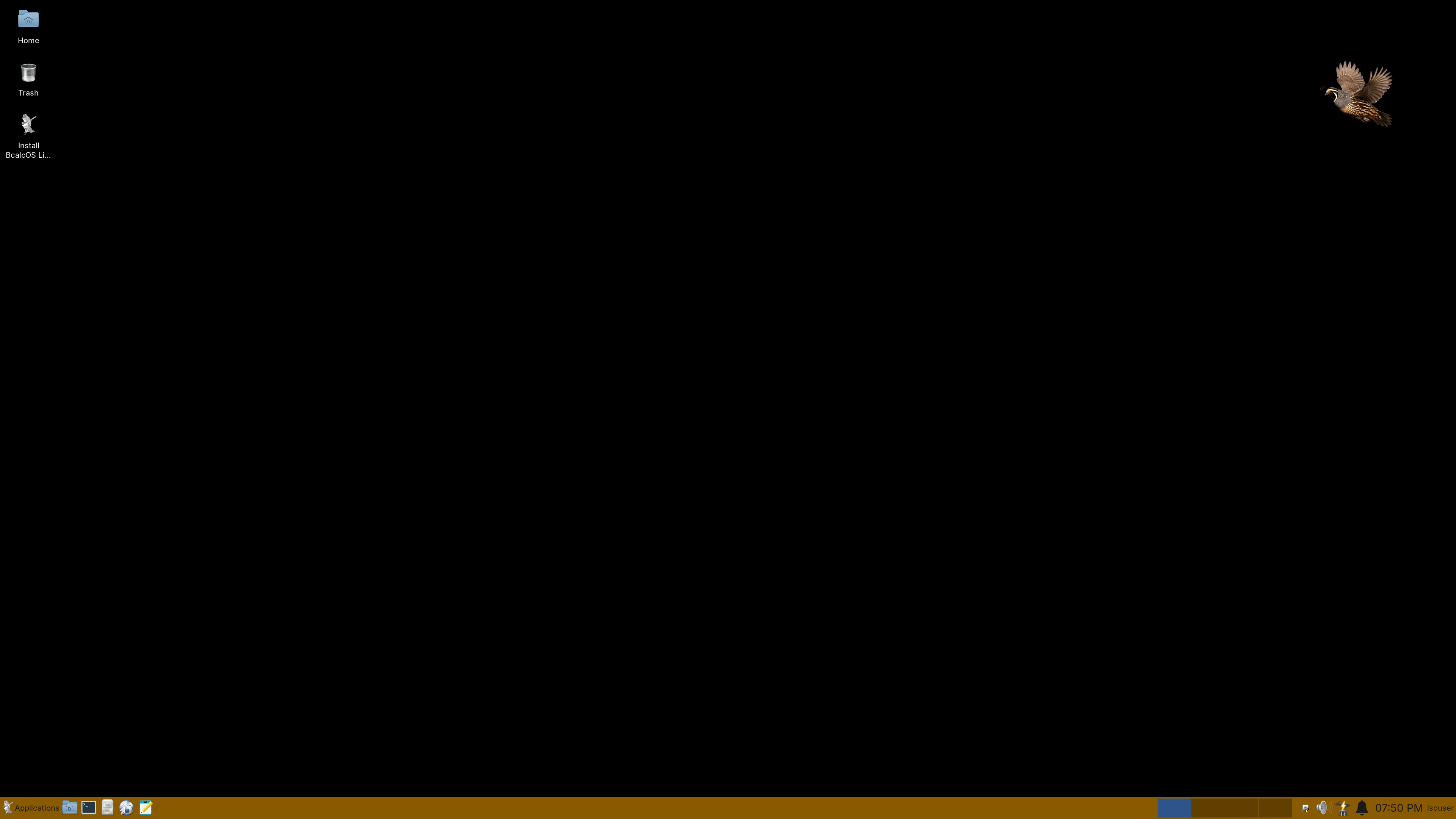 BcalcOS XFCE desktop with black background